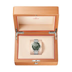 Seamaster Professional Diver 300M