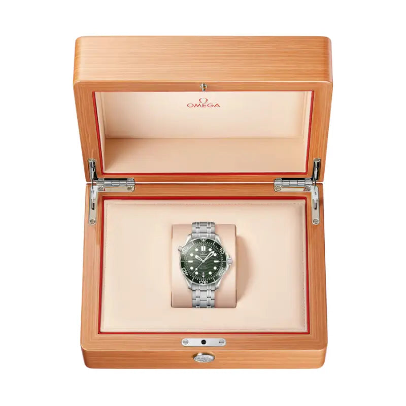 Seamaster Professional Diver 300M