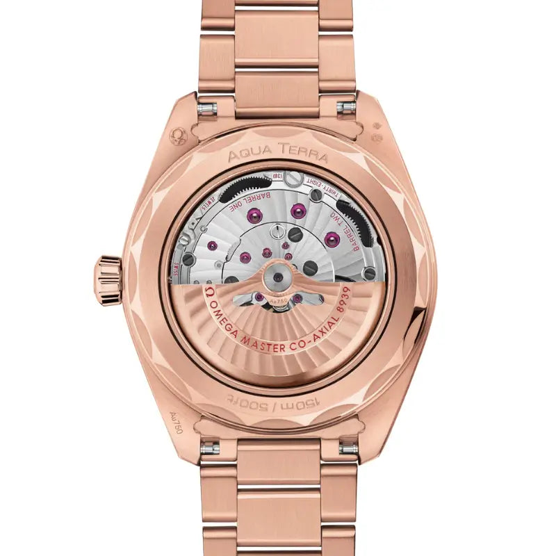 Seamaster Aqua Terra Worldtimer 150M Dubai