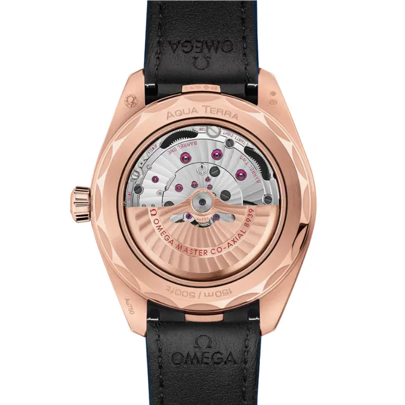 Seamaster Aqua Terra Worldtimer 150M Paris