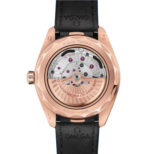 Seamaster Aqua Terra Worldtimer 150M Paris